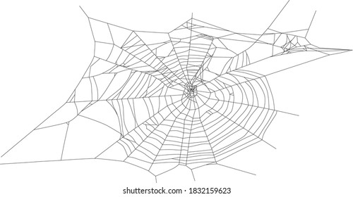 illustration with spider web isolated on white background