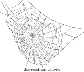 illustration with spider web isolated on white background