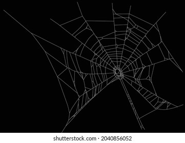 illustration with spider web isolated on black background