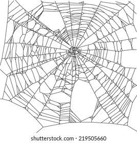 illustration with spider web isolated on white background