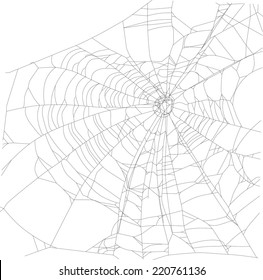 ilustración con telaraña aislada en fondo blanco