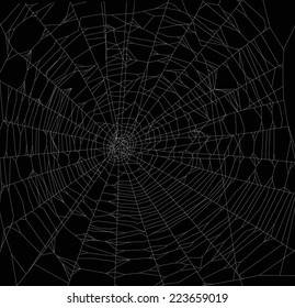 illustration with spider web isolated on black background