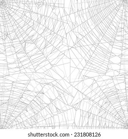 ilustración con telaraña aislada en fondo blanco