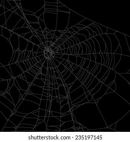 illustration with spider web isolated on black background