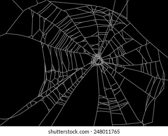 ilustración con telaraña aislada en fondo negro
