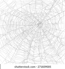 ilustración con telaraña aislada en fondo blanco