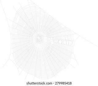 illustration with spider web isolated on white background
