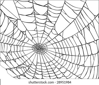 illustration with spider web isolated on white background