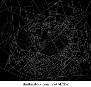 illustration with spider web isolated on black background