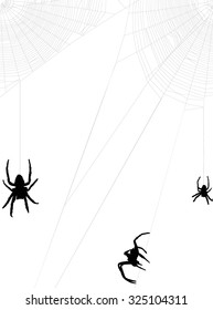 illustration with spider web isolated on white background