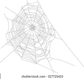 ilustración con telaraña aislada en fondo blanco