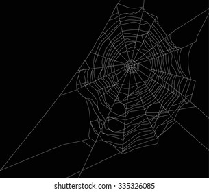 illustration with spider web isolated on black background