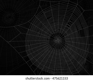 illustration with spider web isolated on black background