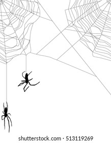illustration with spider web isolated on white background