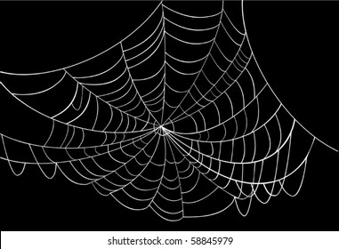 illustration with spider web isolated on black background