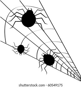 illustration with spider web isolated on white background