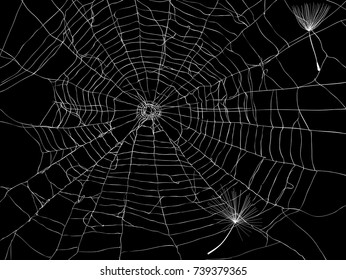 illustration with spider web isolated on black background