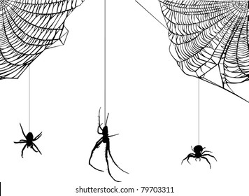 illustration with spider web isolated on white background