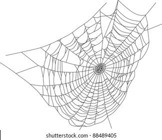 illustration with spider web isolated on white background