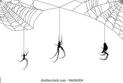 illustration with spider web isolated on white background