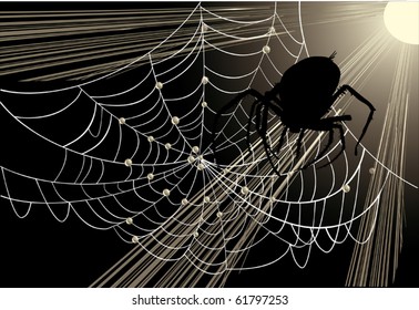 Illustration mit Spinne und Web auf dunklem Hintergrund