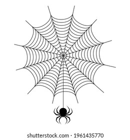 illustration of a spider web with a spider on a white background