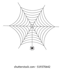 illustration of spider web on a white background