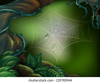 Illustration of a spider web in a rainforest