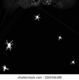 illustration with spider webs isolated on black background