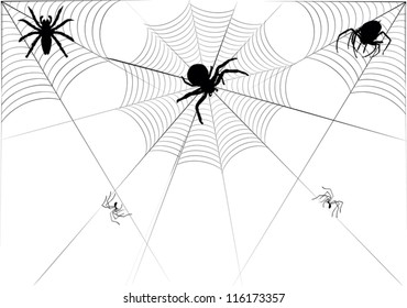 illustration with spider webs isolated on white background