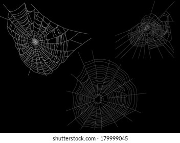 illustration with spider webs isolated on black background