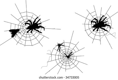 ilustración con telarañas aisladas en fondo blanco