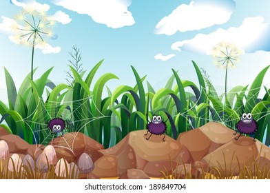 Illustration of the spiders near the rocks