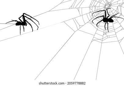 illustration with spiders in web isolated on white background