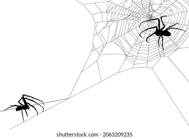 ilustración con arañas aisladas en el fondo blanco