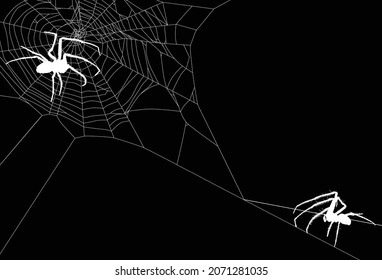ilustración con arañas aisladas en el fondo blanco