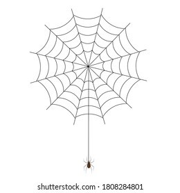 Illustration of spiderweb with spider on white background