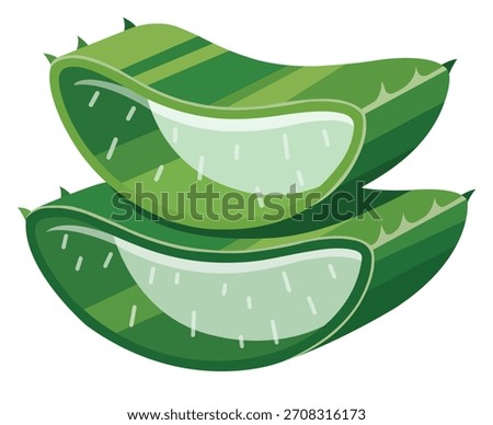 Illustration of a split aloe vera leaf showcasing the clear, soothing gel within.