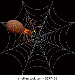 illustration of a spooky spider for halloween or as a background