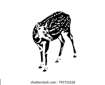 illustration of spotted deer silhouette in black and white vector