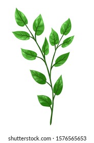 Illustration of sprig with green leaves. Decorative natural plant.