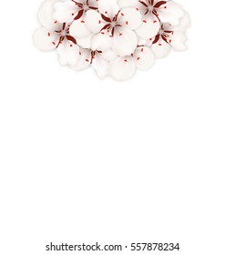 Illustration Spring Background with Cherry Blossom, Place for Text - Vector