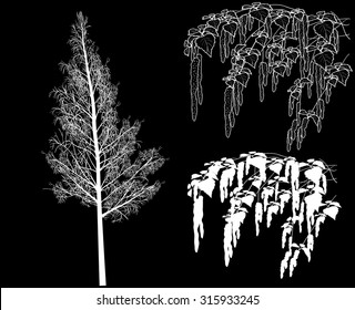 illustration with spring birch branches sketch isolated on black background