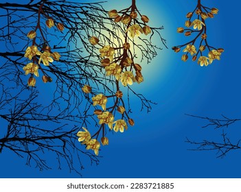 ilustración con la rama floreciente de primavera del árbol de arce sobre fondo azul