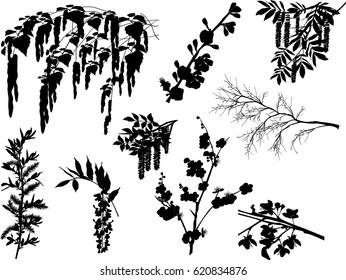 Illustration mit Frühlingszweigen einzeln auf weißem Hintergrund