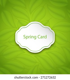 Illustration Spring Card on Eco Pattern with Green Leaves - Vector