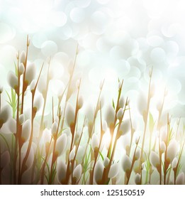Illustration of Spring Easter Pussy-willow Bright Sunny Background