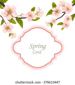 Illustration Spring Elegant Card with Blossoming Tree Branches - Vector