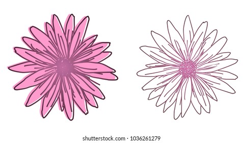 illustration of spring flower