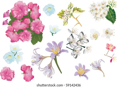 Illustration mit Frühlingsblumenkollektion